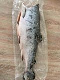Кижуч Дикий с/м без голови 3-5 кг 2094847345 фото